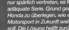 Klick fuer Farb-Version
