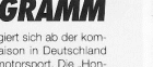 Klick fuer Farb-Version