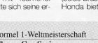 Klick fuer Farb-Version