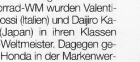 Klick fuer Farb-Version
