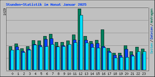 Stunden-Statistik im Monat Januar 2025