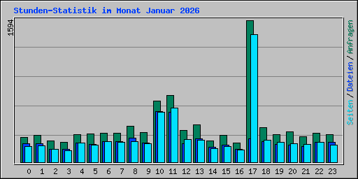Stunden-Statistik im Monat Januar 2026